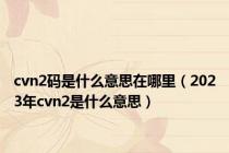 cvn2码是什么意思在哪里（2023年cvn2是什么意思）