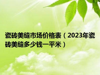 瓷砖美缝市场价格表（2023年瓷砖美缝多少钱一平米）