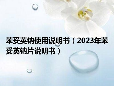 苯妥英钠使用说明书（2023年苯妥英钠片说明书）