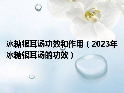 冰糖银耳汤功效和作用（2023年冰糖银耳汤的功效）