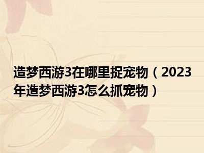 造梦西游3在哪里捉宠物（2023年造梦西游3怎么抓宠物）