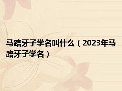 马路牙子学名叫什么（2023年马路牙子学名）