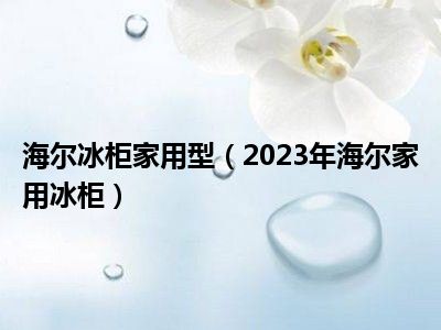 海尔冰柜家用型（2023年海尔家用冰柜）