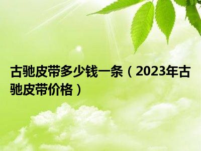 古驰皮带多少钱一条（2023年古驰皮带价格）