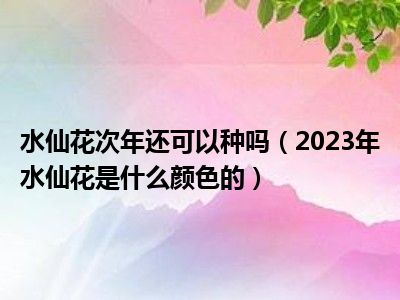 水仙花次年还可以种吗（2023年水仙花是什么颜色的）