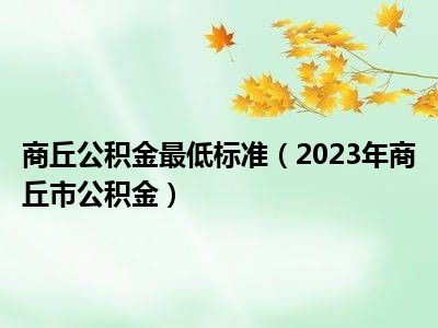 商丘公积金最低标准（2023年商丘市公积金）