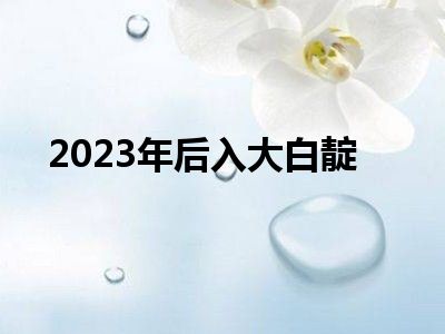 2023年后入大白靛