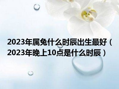 2023年属兔什么时辰出生最好（2023年晚上10点是什么时辰）