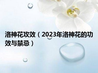 洛神花攻效（2023年洛神花的功效与禁忌）