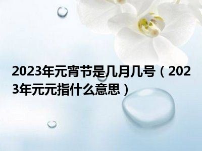 2023年元宵节是几月几号（2023年元元指什么意思）