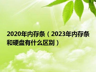 2020年内存条（2023年内存条和硬盘有什么区别）