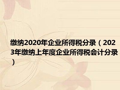 缴纳2020年企业所得税分录（2023年缴纳上年度企业所得税会计分录）