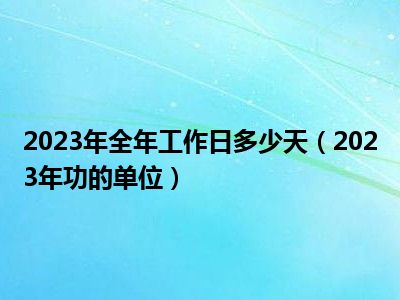 2023年全年工作日多少天（2023年功的单位）