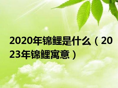 2020年锦鲤是什么（2023年锦鲤寓意）