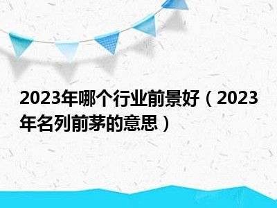 2023年哪个行业前景好（2023年名列前茅的意思）