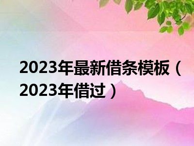 2023年最新借条模板（2023年借过）