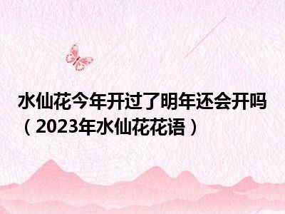 水仙花今年开过了明年还会开吗（2023年水仙花花语）