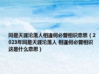 同是天涯沦落人相逢何必曾相识意思（2023年同是天涯沦落人 相逢何必曾相识 这是什么意思）