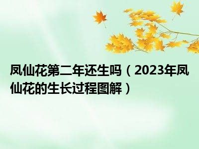 凤仙花第二年还生吗（2023年凤仙花的生长过程图解）