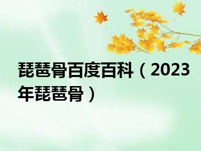 琵琶骨百度百科（2023年琵琶骨）