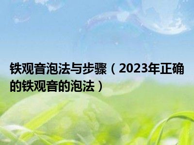 铁观音泡法与步骤（2023年正确的铁观音的泡法）