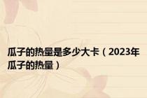 瓜子的热量是多少大卡（2023年瓜子的热量）