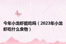 今年小龙虾能吃吗（2023年小龙虾吃什么食物）