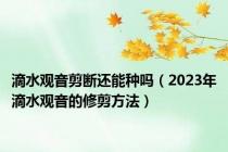 滴水观音剪断还能种吗（2023年滴水观音的修剪方法）
