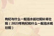 枸杞与什么一起泡水能壮阳补肾壮阳（2023年枸杞和什么一起泡水喝壮阳）