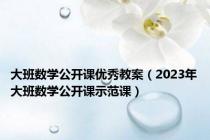 大班数学公开课优秀教案（2023年大班数学公开课示范课）