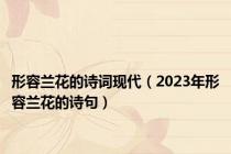 形容兰花的诗词现代（2023年形容兰花的诗句）