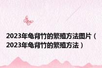 2023年龟背竹的繁殖方法图片（2023年龟背竹的繁殖方法）