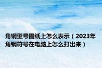 角钢型号图纸上怎么表示（2023年角钢符号在电脑上怎么打出来）