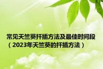 常见天竺葵扦插方法及最佳时间段（2023年天竺葵的扦插方法）