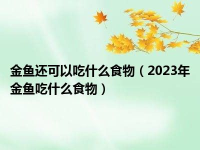 金鱼还可以吃什么食物（2023年金鱼吃什么食物）