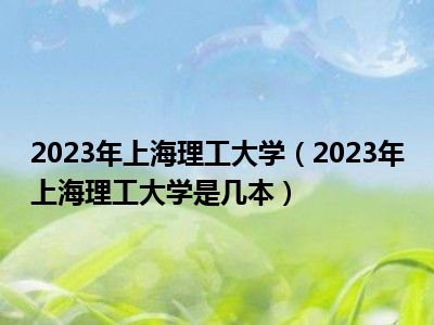 2023年上海理工大学（2023年上海理工大学是几本）