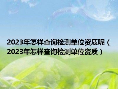 2023年怎样查询检测单位资质呢（2023年怎样查询检测单位资质）