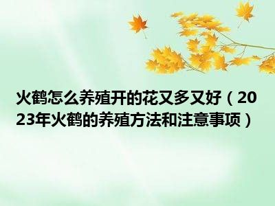 火鹤怎么养殖开的花又多又好（2023年火鹤的养殖方法和注意事项）