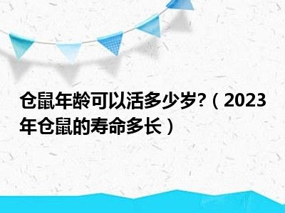 仓鼠年龄可以活多少岁?（2023年仓鼠的寿命多长）