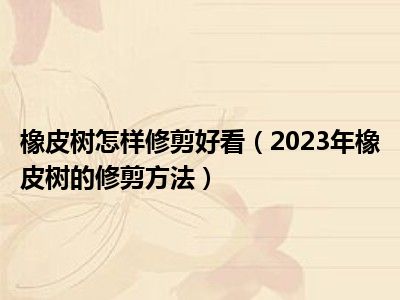 橡皮树怎样修剪好看（2023年橡皮树的修剪方法）