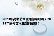 2023年高考艺术生如何录取呢（2023年高考艺术生如何录取）