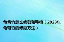 龟背竹怎么修剪和移植（2023年龟背竹的修剪方法）