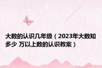 大数的认识几年级（2023年大数知多少 万以上数的认识教案）