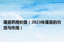 莲雾药用价值（2023年莲雾的功效与作用）