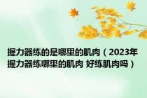 握力器练的是哪里的肌肉（2023年握力器练哪里的肌肉 好练肌肉吗）