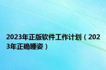 2023年正版软件工作计划（2023年正确睡姿）