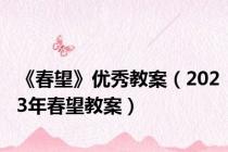 《春望》优秀教案（2023年春望教案）