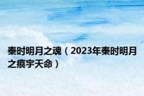 秦时明月之魂（2023年秦时明月之痕宇天命）