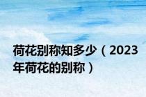 荷花别称知多少（2023年荷花的别称）