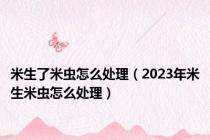 米生了米虫怎么处理（2023年米生米虫怎么处理）